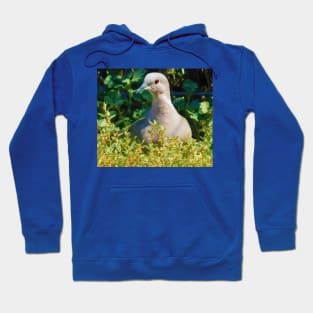 Mourning dove Hoodie